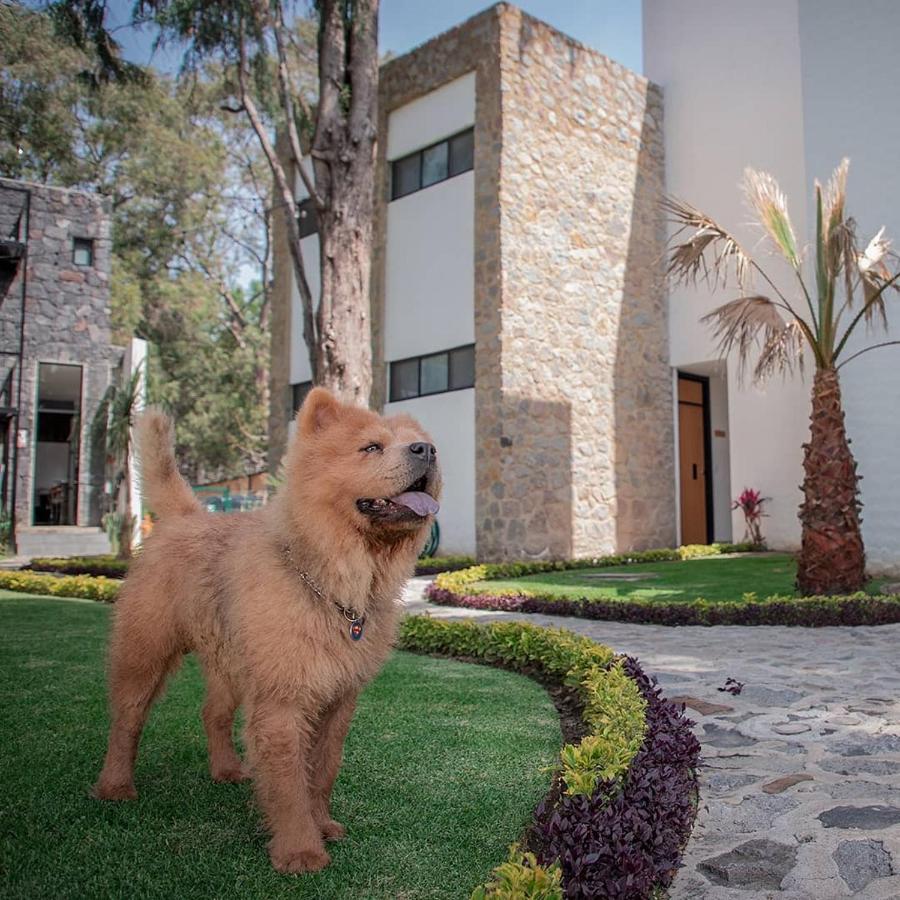 Hotel Boutique Camino Del Bosque By Rotamundos Cholula Exterior photo